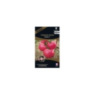 Tomate rose Fenda HF1 (sachet)