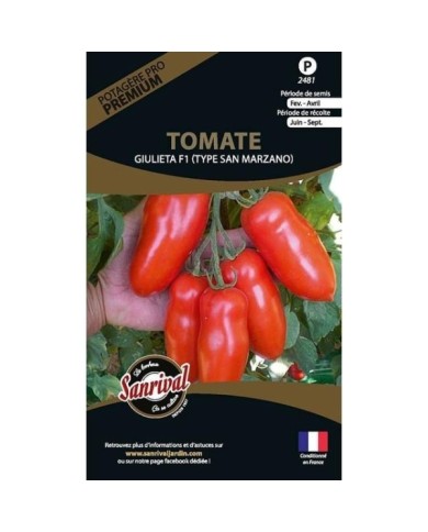 Tomate Giulieta HF1 (sachet)