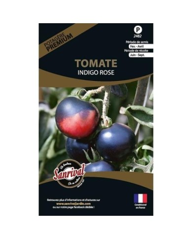 Tomate Indigo Rose (sachet)