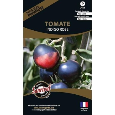 Tomate Indigo Rose (sachet)