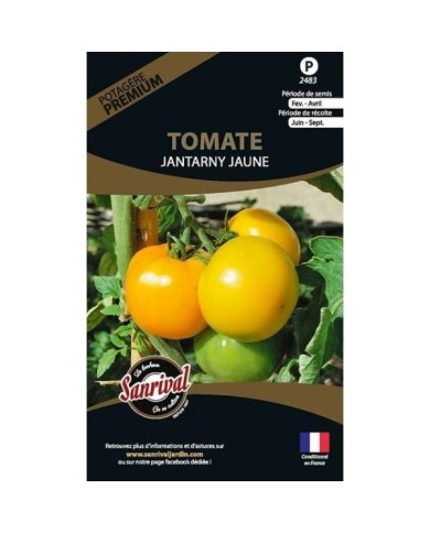Tomate Jantarny Jaune (sachet)