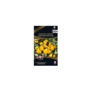 Tomate cerise poire pearshaped jaune (sachet)