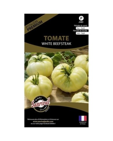 Tomate beefsteak (sachet)