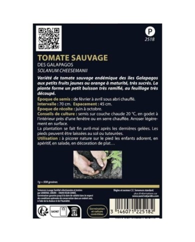 Tomate sauvage de galapagos