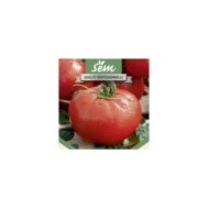 Tomate Fandango F1