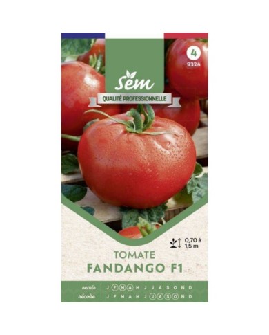 Tomate Fandango F1