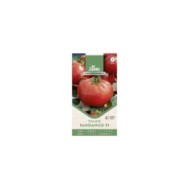 Tomate Fandango F1