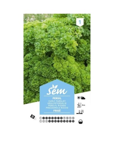 Persil frisé (sachet)