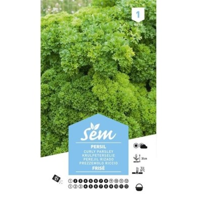 Persil frisé (sachet)