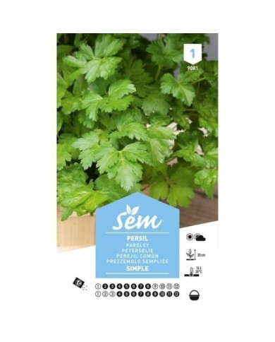Persil simple (sachet)