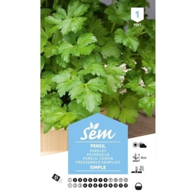 Persil simple (sachet)