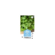 Persil simple (sachet)