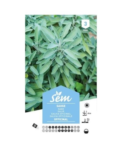Sauge officinale (sachet)