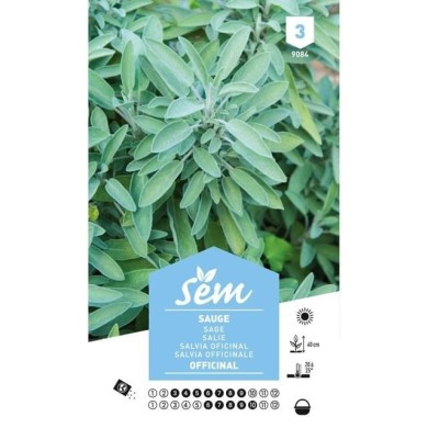 Sauge officinale (sachet)
