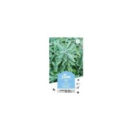 Sauge officinale (sachet)