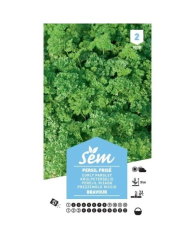 Persil Bravour (sachet)