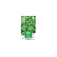 Basilic grand vert Bio (sachet)