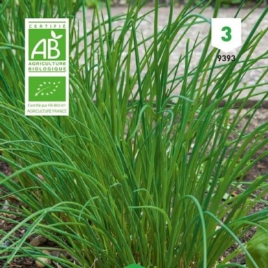 Ciboulette  Bio