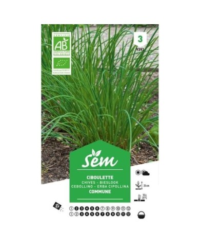Ciboulette  Bio (sachet)