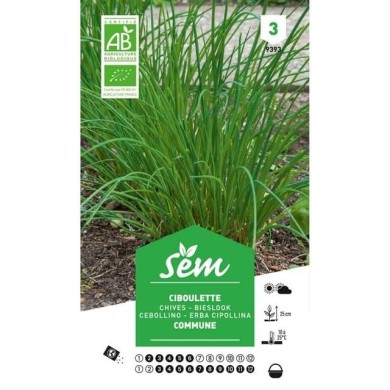 Ciboulette  Bio (sachet)