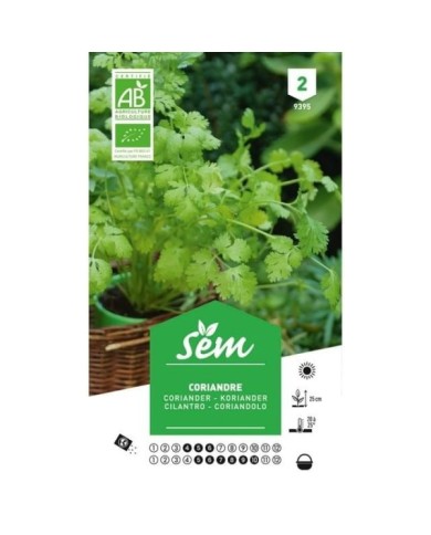 Coriandre Bio (sachet)