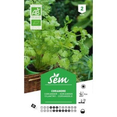Coriandre Bio (sachet)