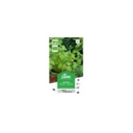 Coriandre Bio (sachet)