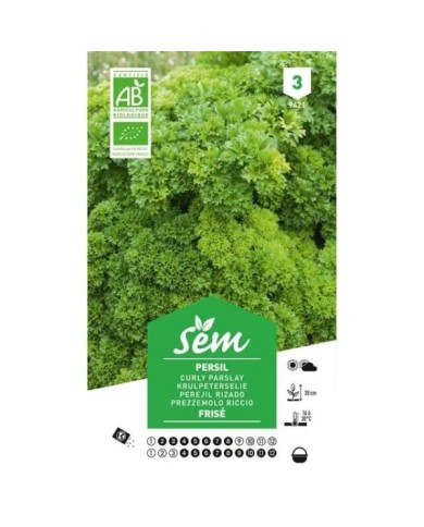 Persil frisé Bio (sachet)