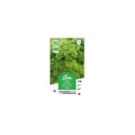 Persil frisé Bio (sachet)