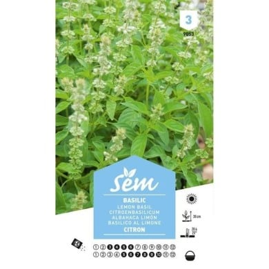 Basilic citron (sachet)