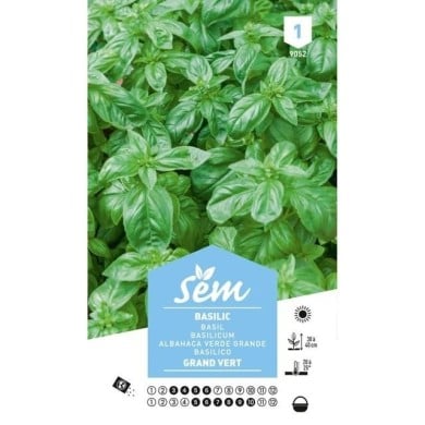 Basilic Grand Vert (sachet)