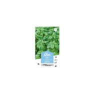 Basilic Grand Vert (sachet)