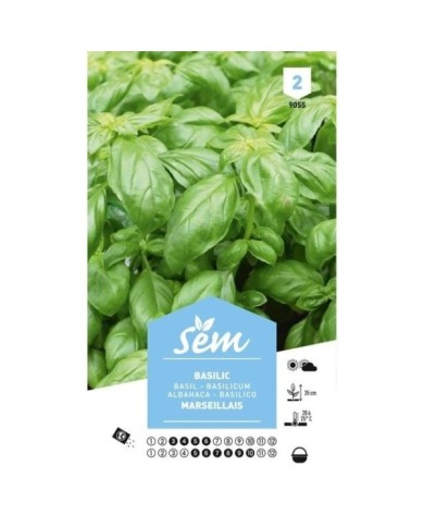 Basilic Marseillais (sachet)