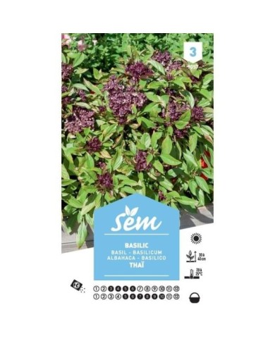 Basilic Thai (sachet)
