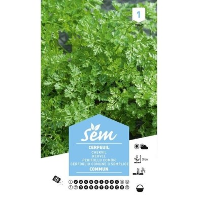 Cerfeuil commun ou simple (sachet)