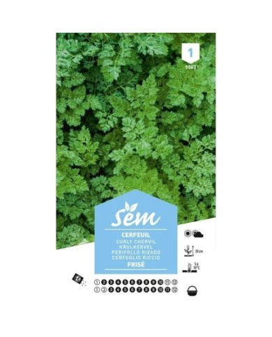 Cerfeuil frisé (sachet)
