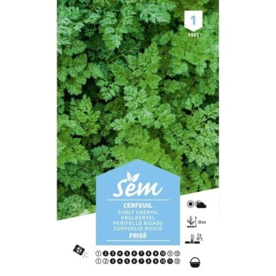 Cerfeuil frisé (sachet)