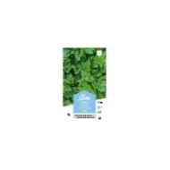 Cerfeuil frisé (sachet)