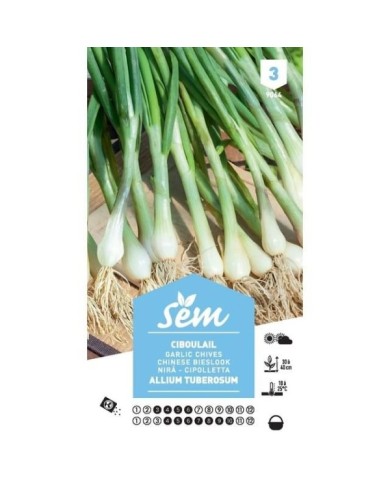 Ciboulail (sachet)