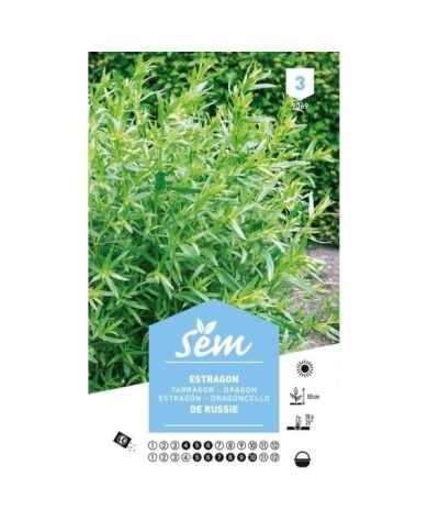 Estragon (sachet)