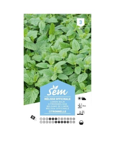 Mélisse officinale (Citronnelle) (sachet)