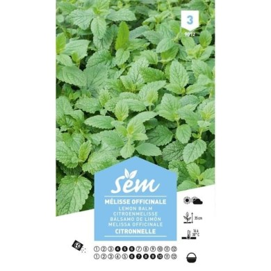 Mélisse officinale (Citronnelle) (sachet)