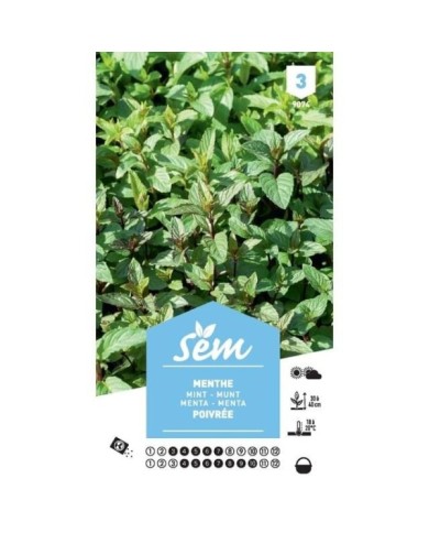 Menthe poivrée (sachet)