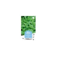 Menthe verte (sachet)