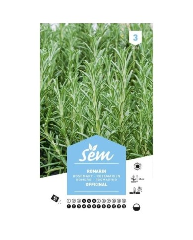 Romarin (sachet)