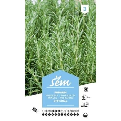 Romarin (sachet)