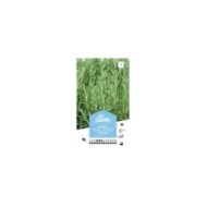 Romarin (sachet)
