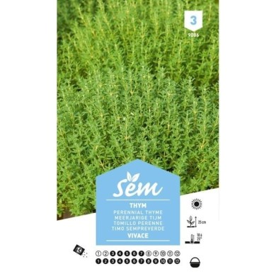Thym vivace (sachet)