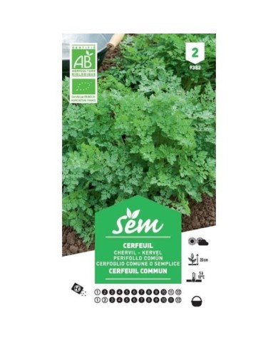 Cerfeuil commun Bio (sachet)
