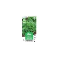 Cerfeuil commun Bio (sachet)